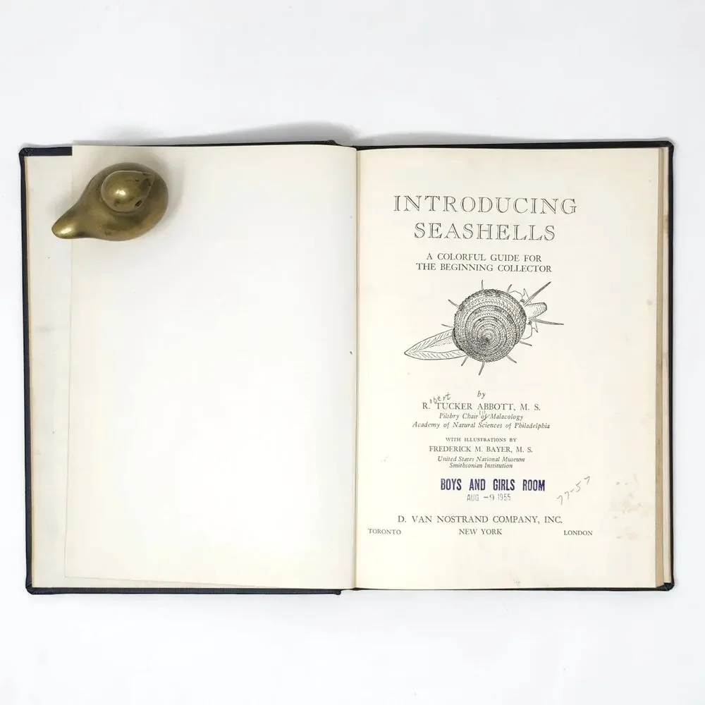 Introducing Seashells RT Abbott 1955 Vintage Illustrated HC Ex Libris